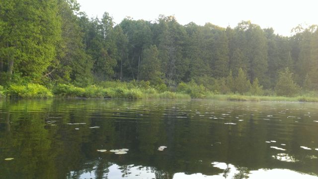 Greens of Meech Lake